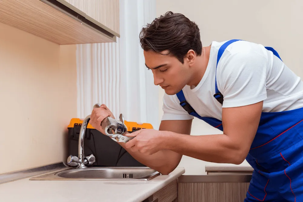 Cheap Fauchet Sink Repair Lousville